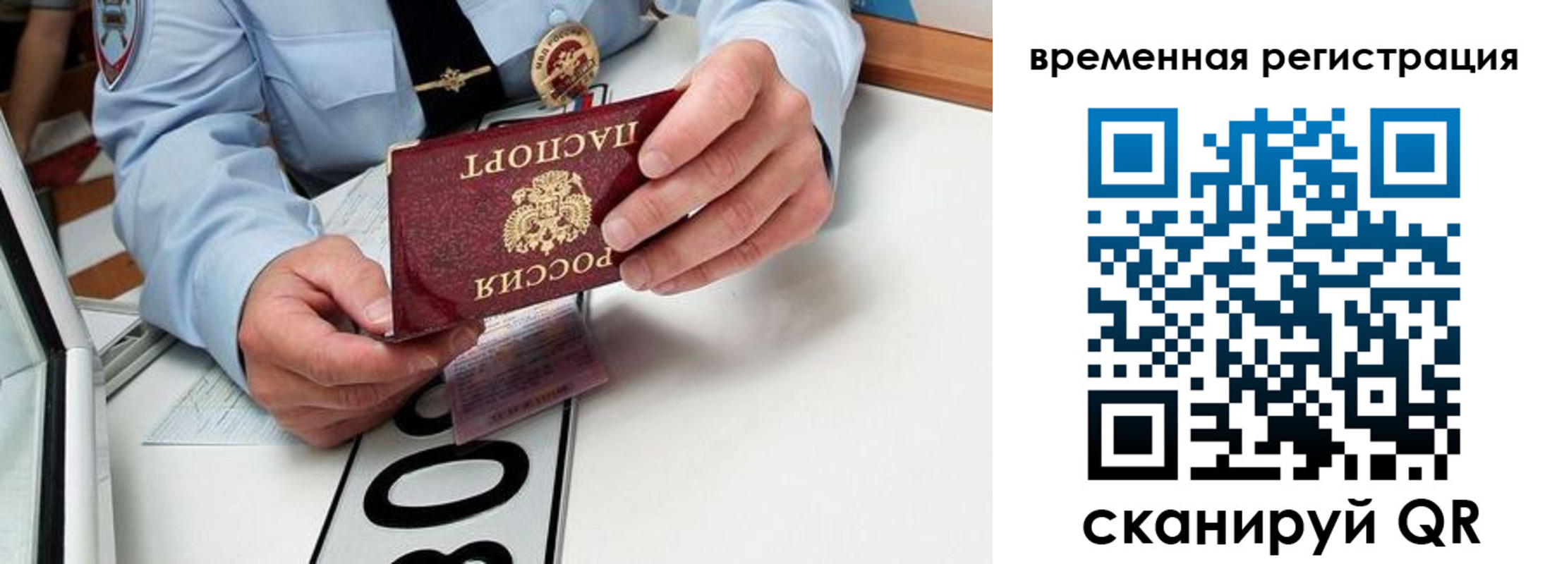 прописка гарантия в Суровикино